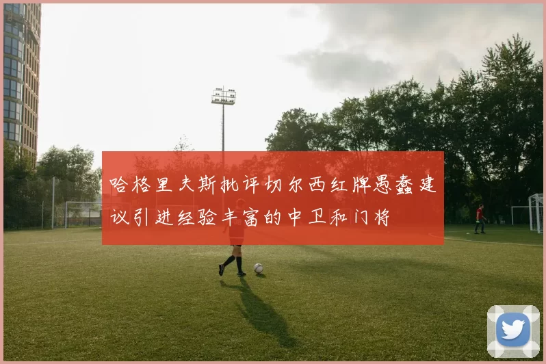 哈格里夫斯批评切尔西红牌愚蠢建议引进经验丰富的中卫和门将
