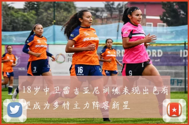 18岁中卫雷吉亚尼训练表现出色有望成为多特主力阵容新星